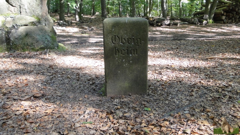 Ritterstein Nr. 289-17 Hier befand sich das Landgericht auf dem Stampe - Gerichtsstätte der Grafen von Leiningen.JPG - Ritterstein Nr.289 Hier befand sich das Landgericht auf dem Stampe - Gerichtsstätte der Grafen von Leiningen